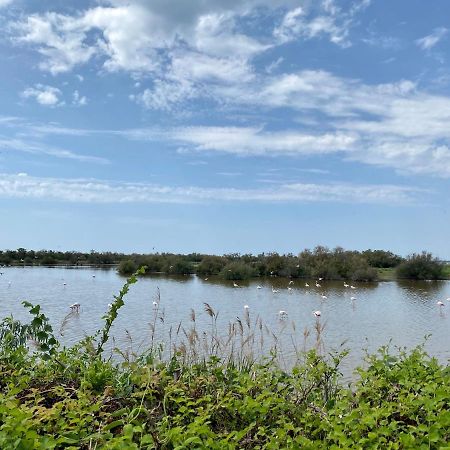 New Jungle Lake - Clim - Wifi - Draps & Serviettes - Bbq - 10' Des Plages Lattes Exteriör bild