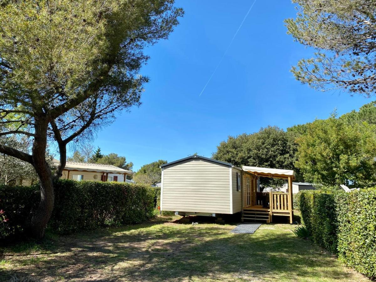 New Jungle Lake - Clim - Wifi - Draps & Serviettes - Bbq - 10' Des Plages Lattes Exteriör bild
